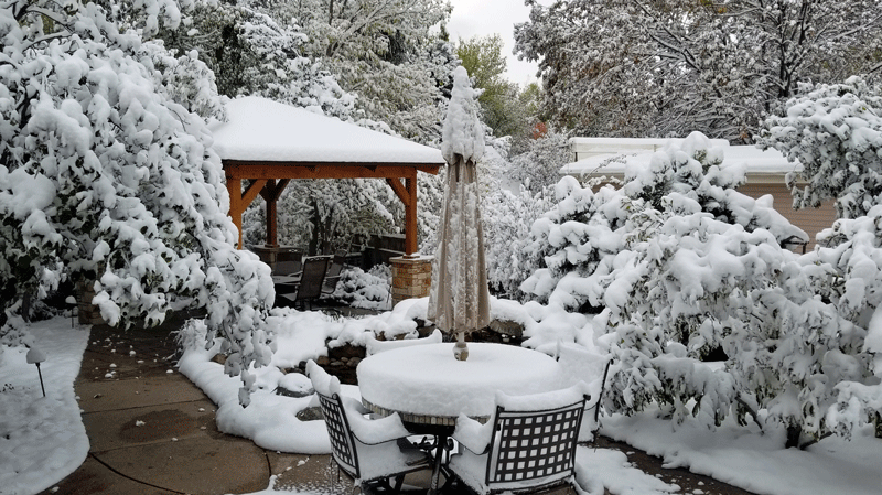 20181014_081121-edited