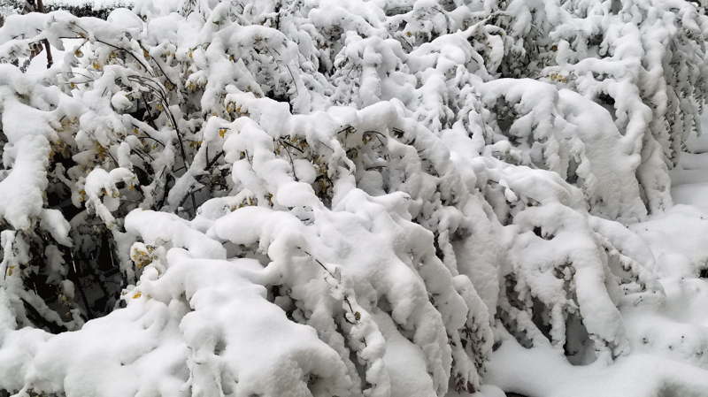 20181014_081322-edited