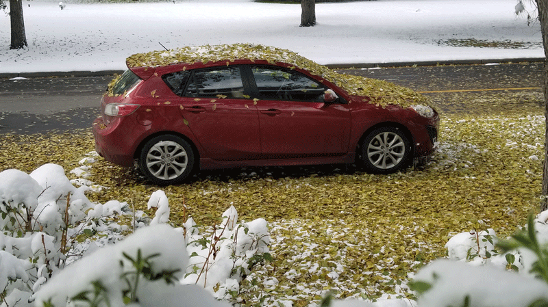 20181014_131904-edited