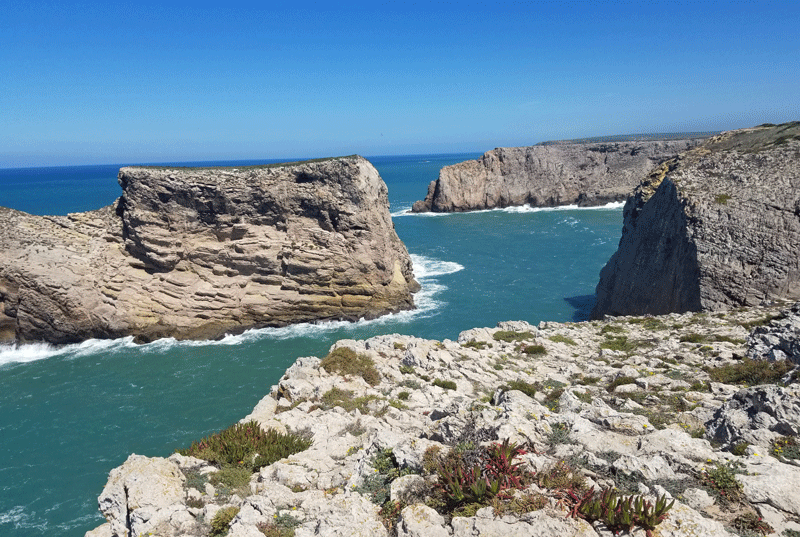 20190412_123224-edited