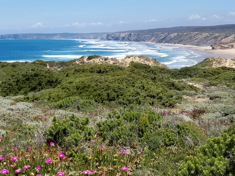 20190412_135101-edited