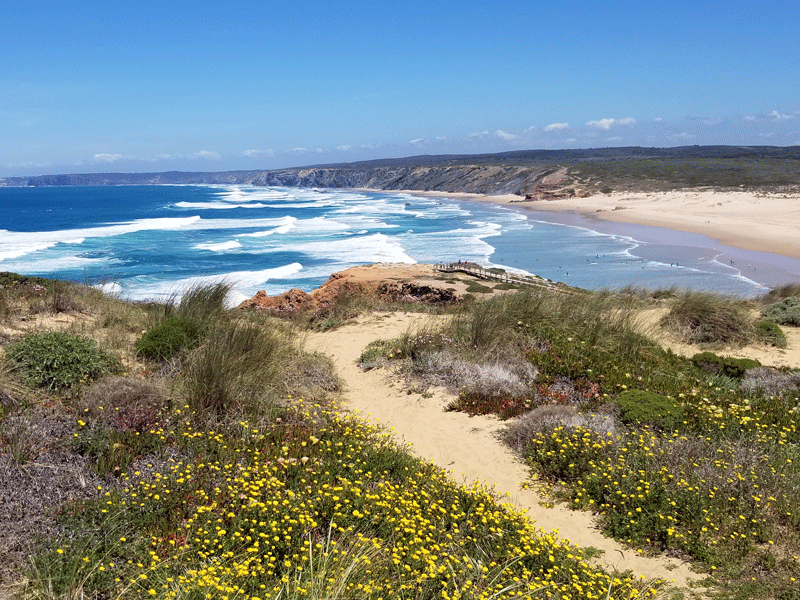 20190412_135444-edited