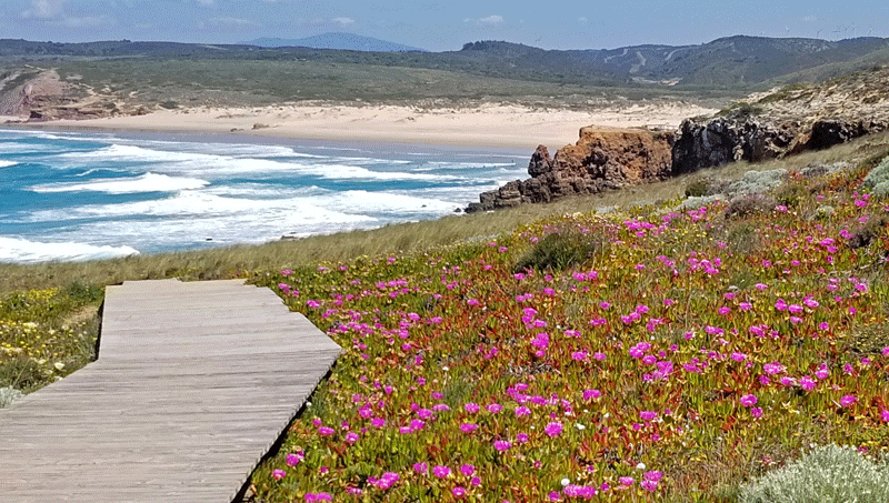 20190412_141120-edited