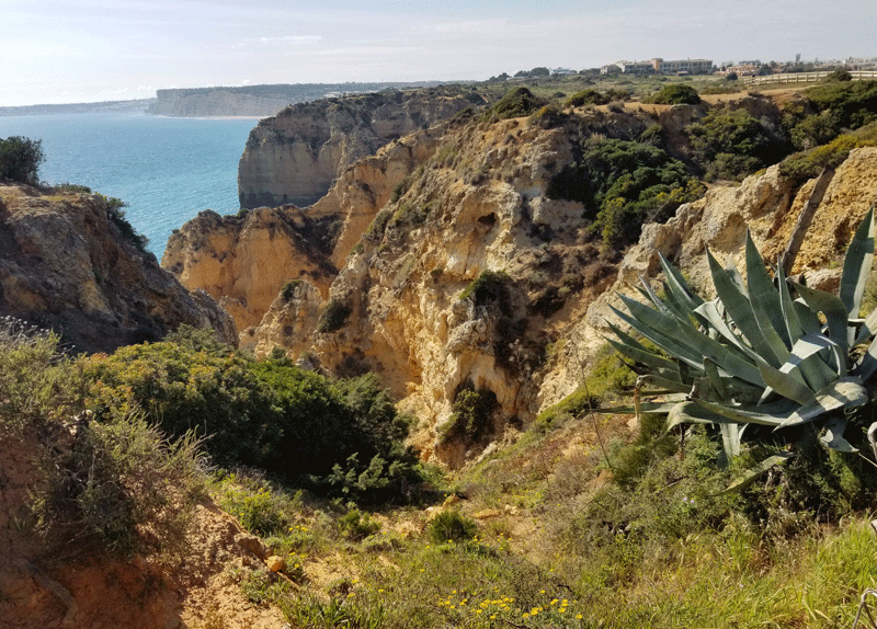 20190413_164736-edited