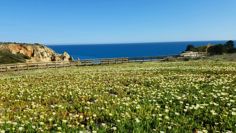 20190413_170008-edited