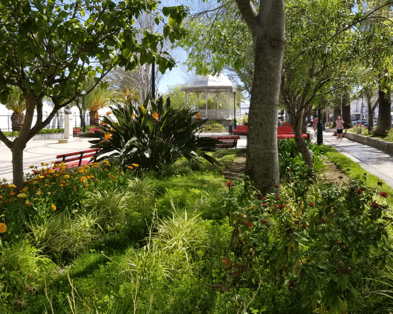 20190414_124345-edited