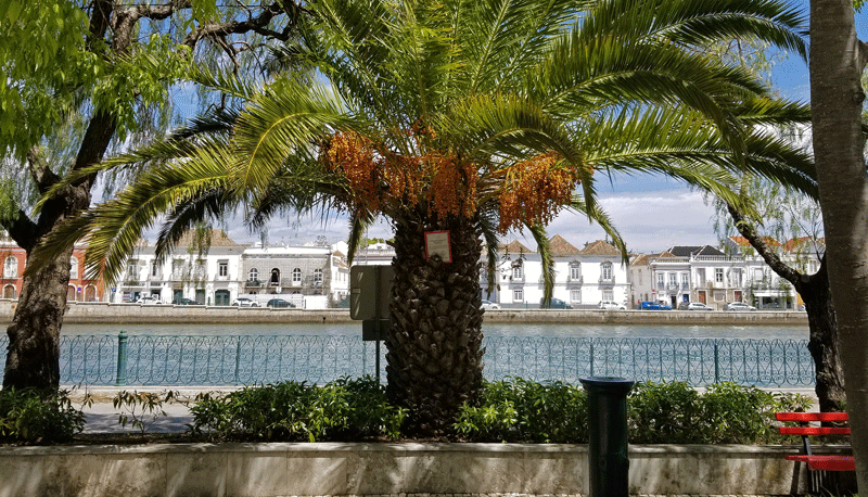 20190414_124446-edited