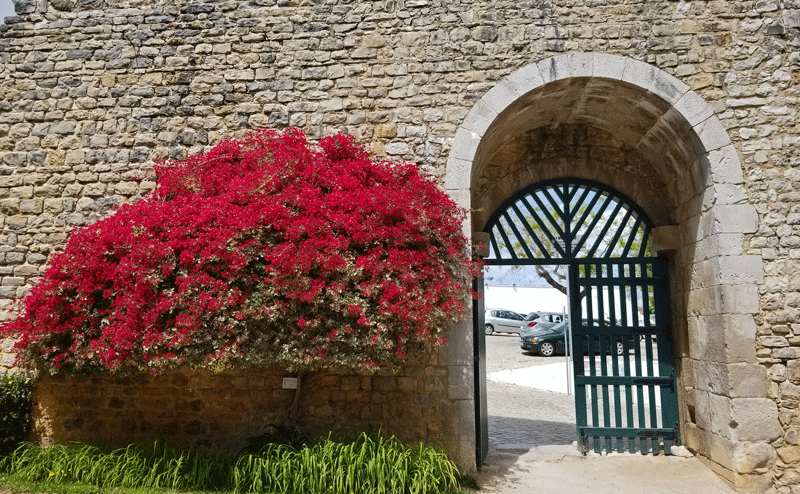 20190414_131123-edited