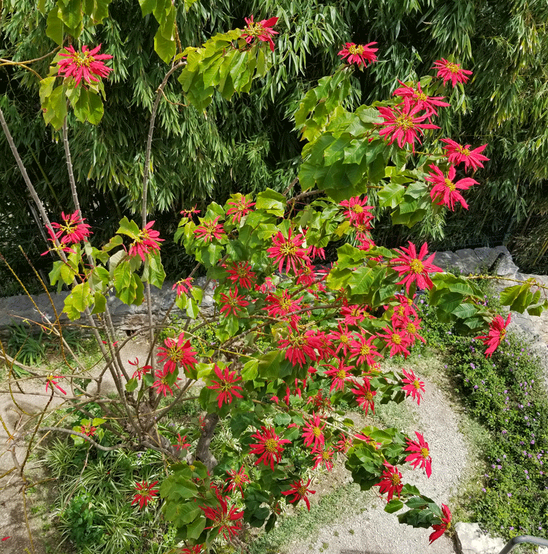 20190414_132101-edited