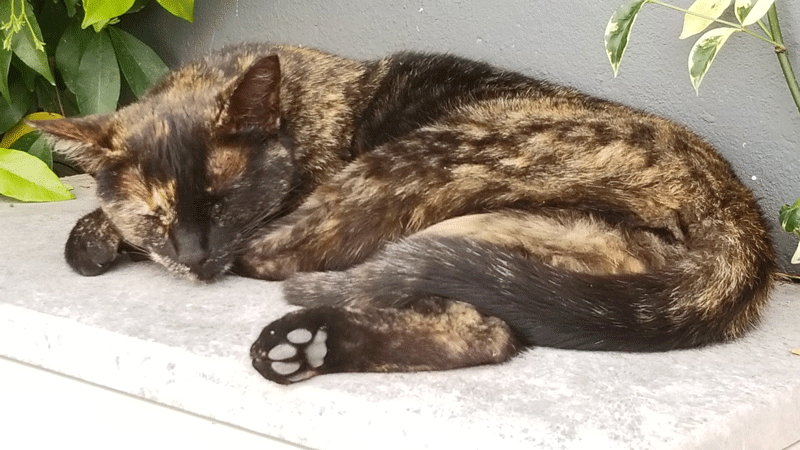 20190415_134957-edited