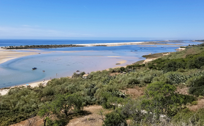 20190416_112624-edited