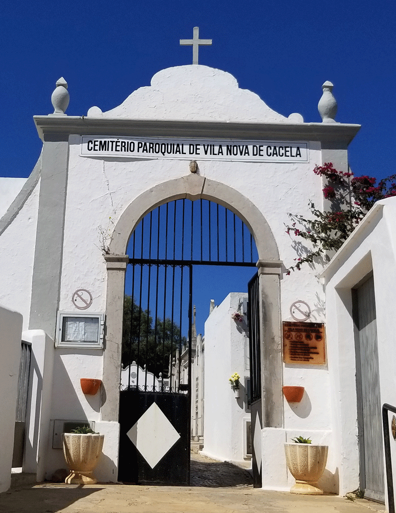 20190416_115016-edited