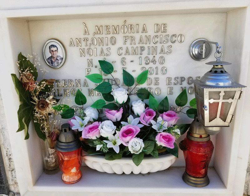 20190416_115526-edited