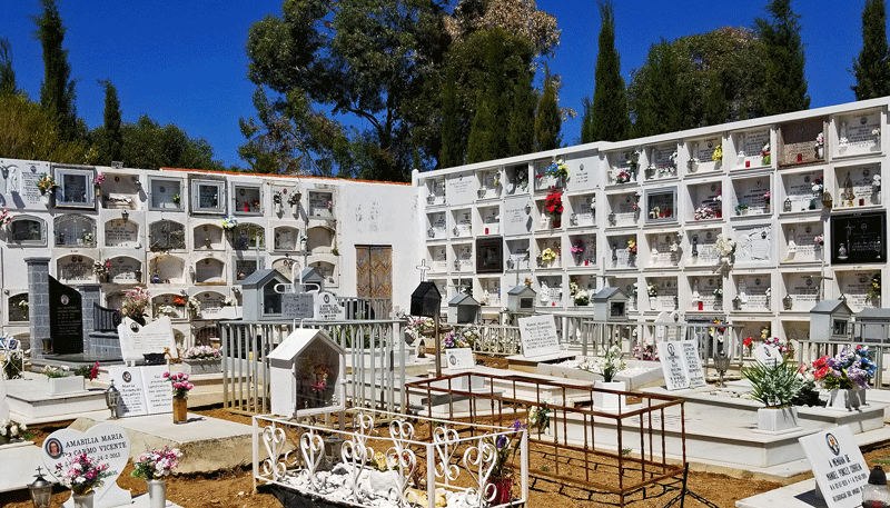 20190416_115733-edited