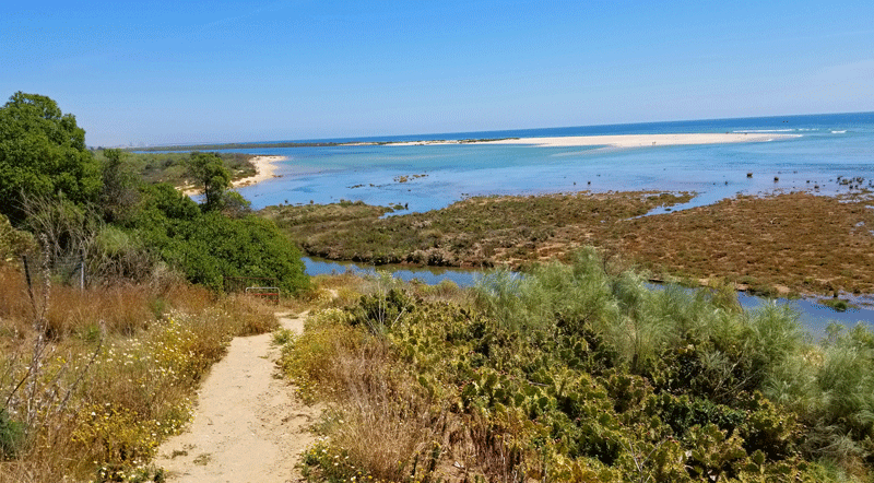 20190416_123735-edited