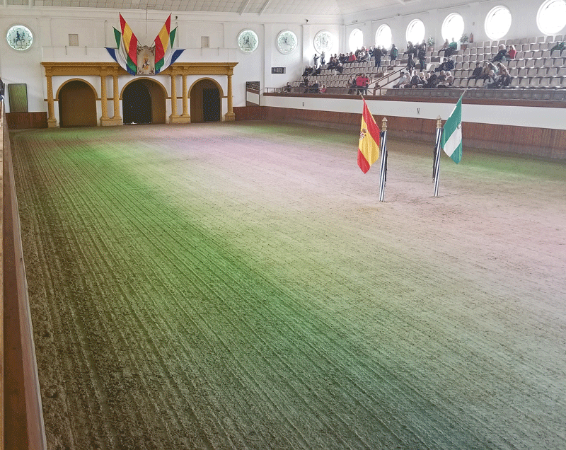 20190418_113804-edited