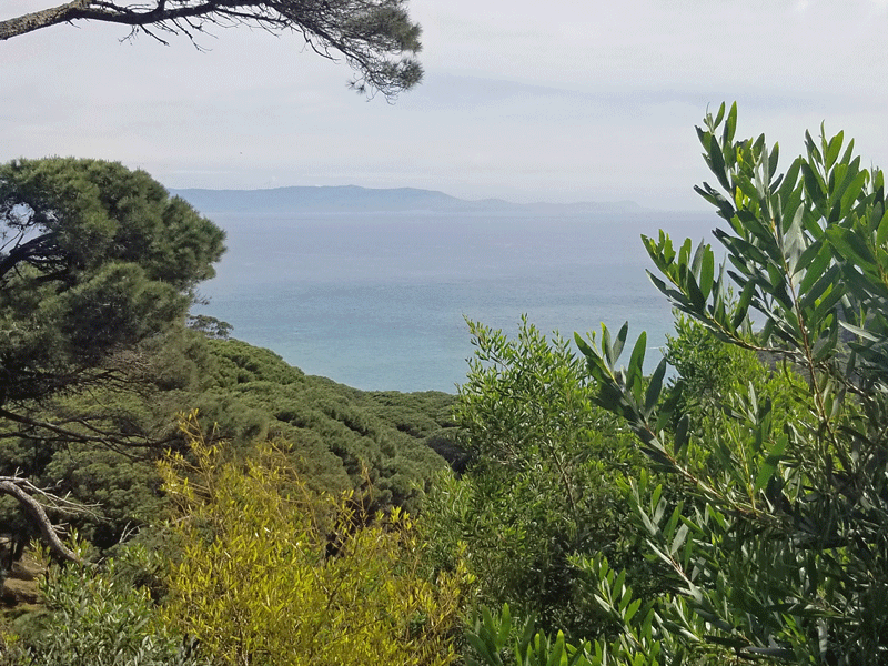 20190420_113351-edited