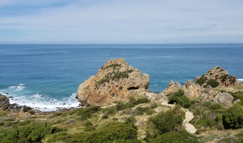 20190420_120212-edited