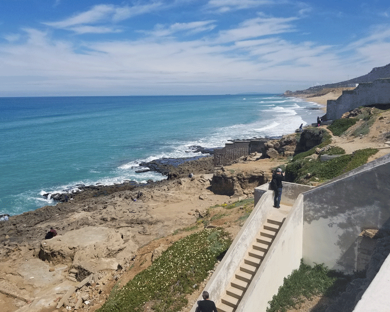 20190420_130042-edited