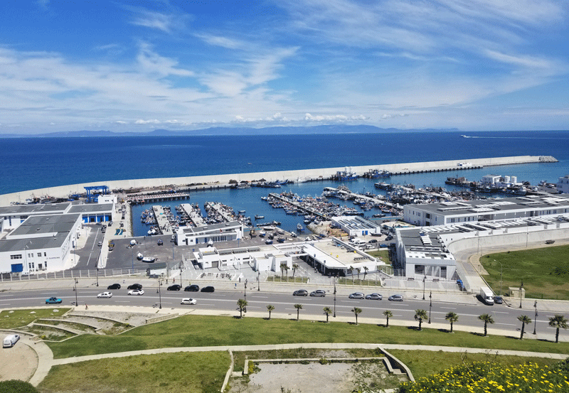 20190420_135145-edited