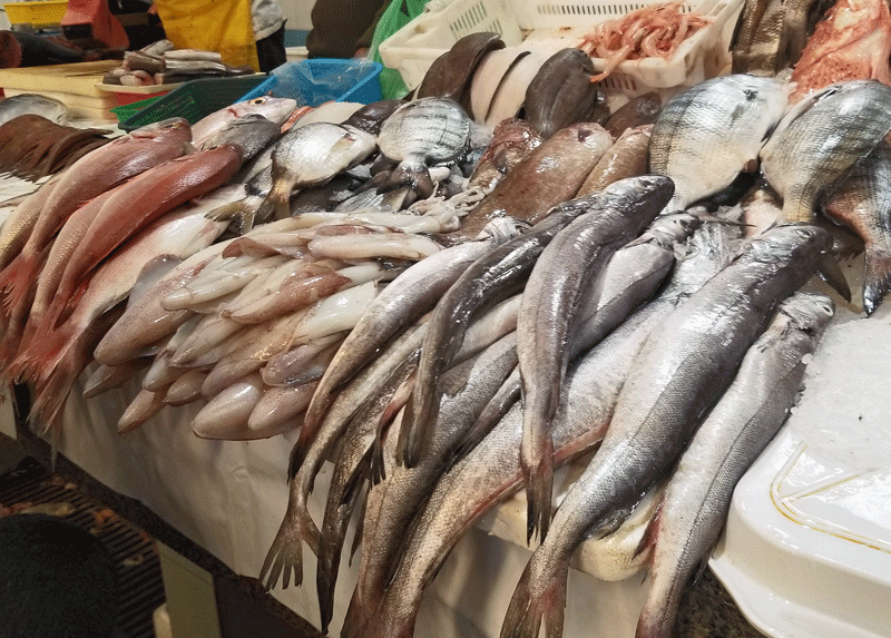 20190420_154759-edited