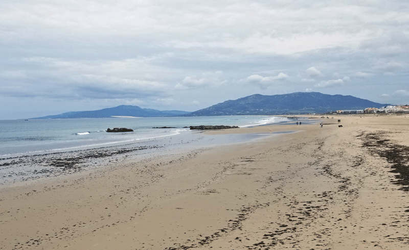 20190421_113403-edited