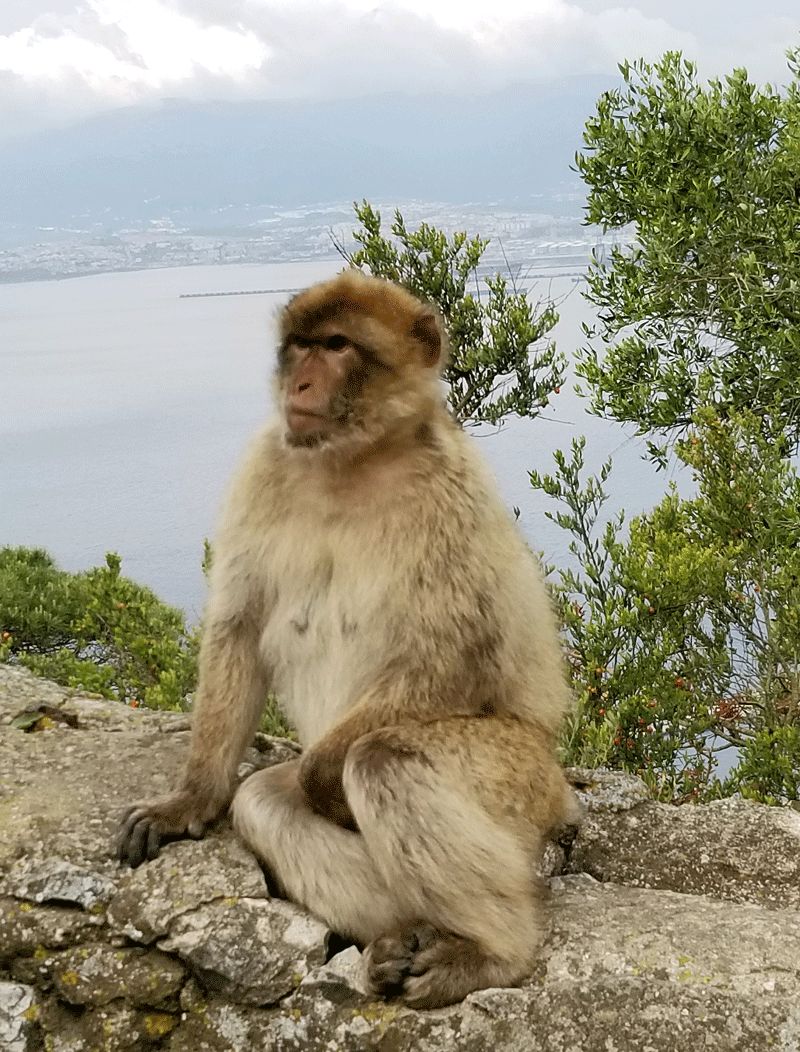 Walking in Gibraltar
