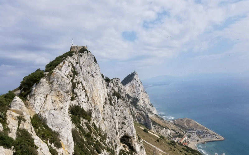 20190422_111824-edited