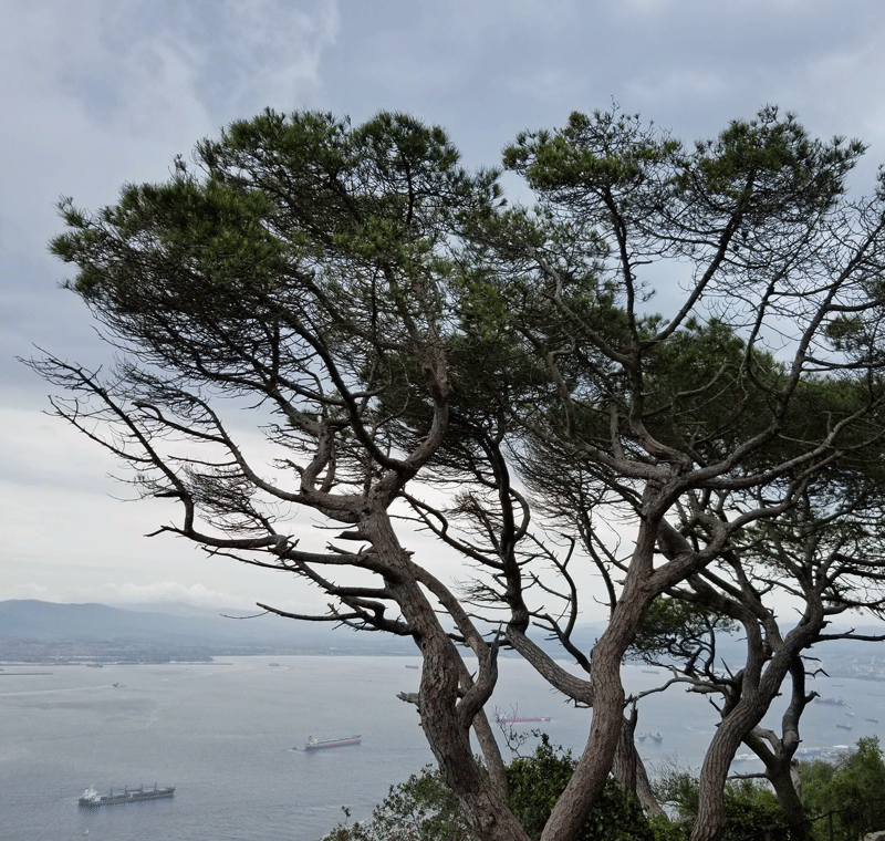 20190422_120713-edited