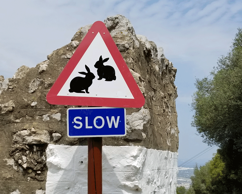 20190422_130233-edited