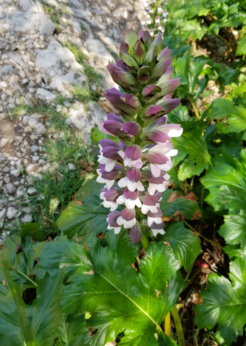 20190422_140744-edited