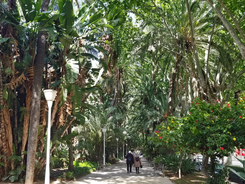 20190423_164224-edited