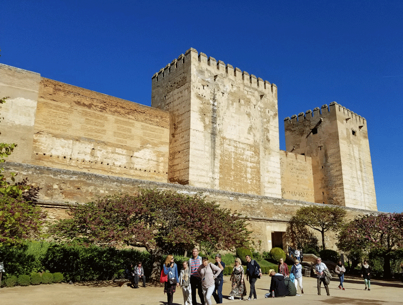 20190427_103928-edited