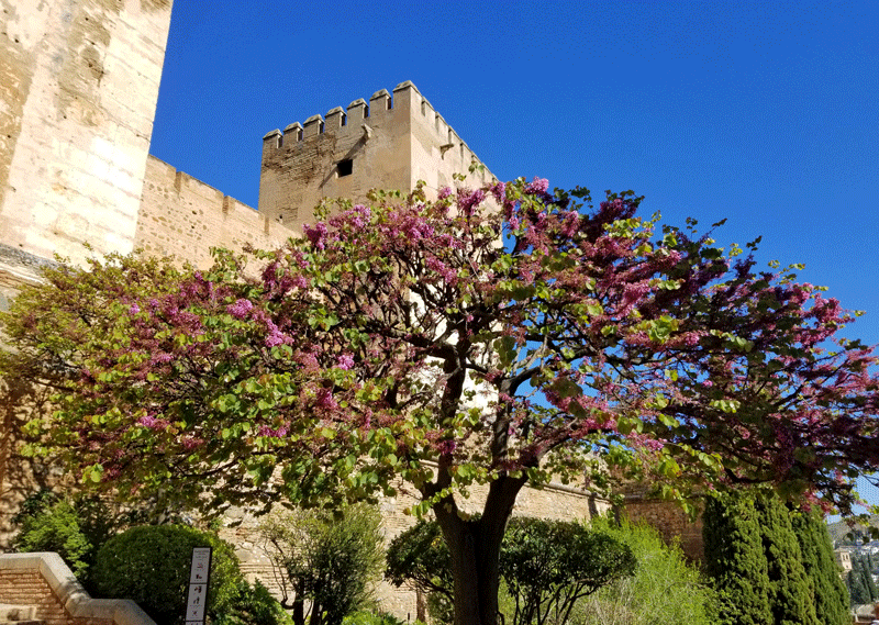 20190427_104025-edited