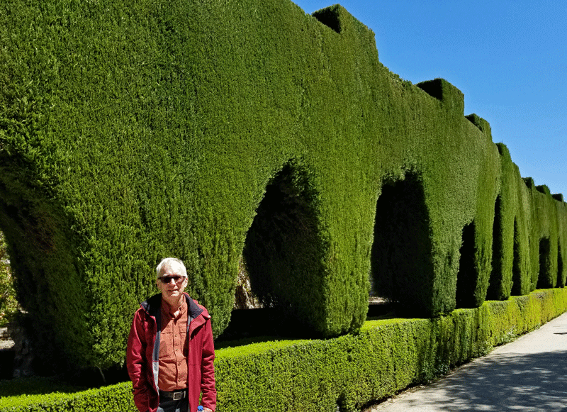 20190427_142210-edited