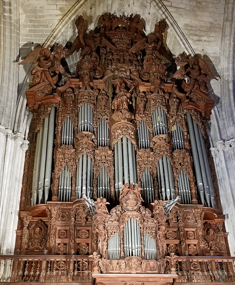 20190501_125419-edited