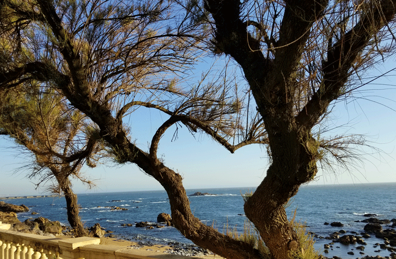 20190503_201720-edited