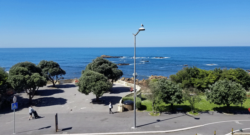 20190504_110821-edited