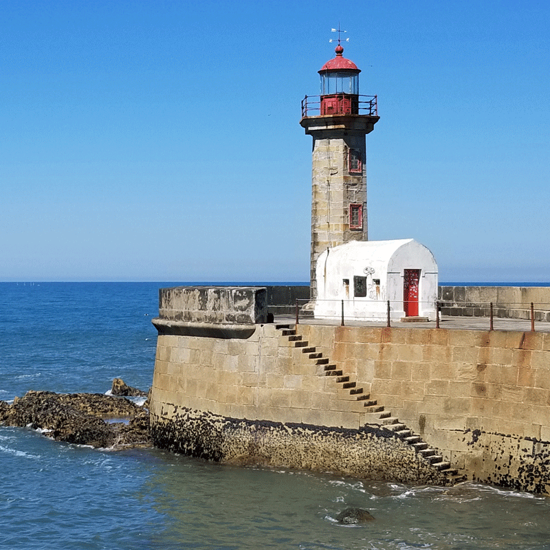 20190504_113223-edited