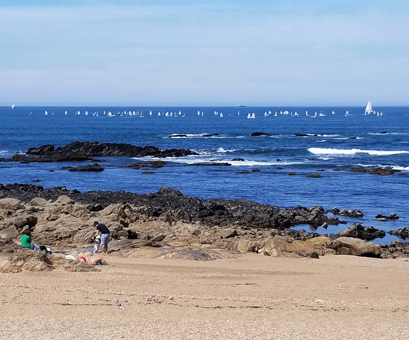 20190505_105659-edited