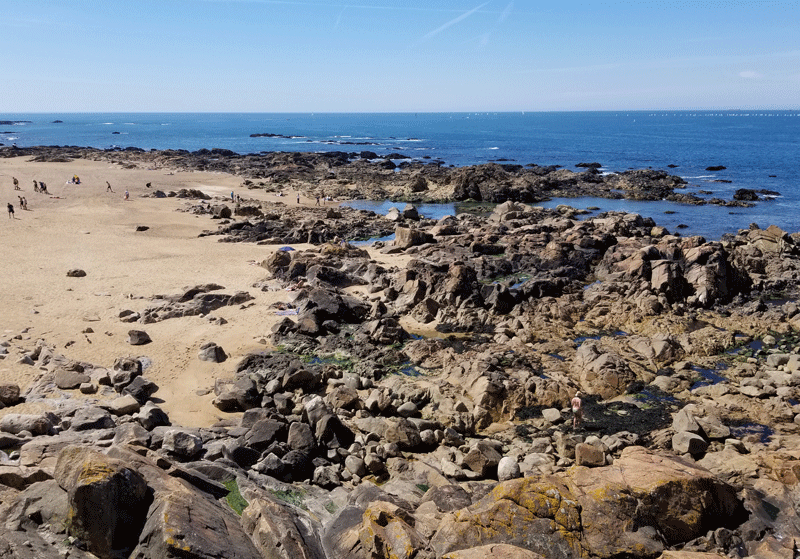 20190505_112520-edited