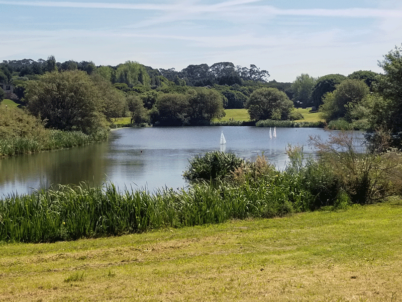 20190505_114243-edited