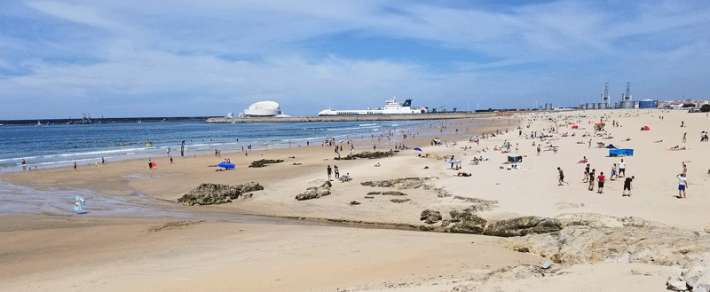 20190505_121533-edited