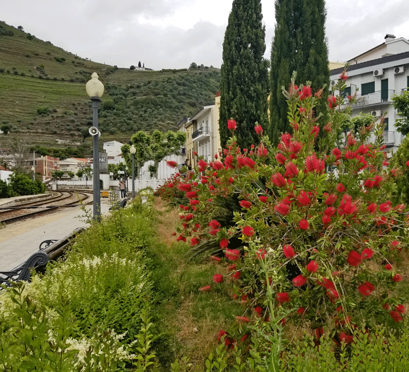 20190507_143830-edited