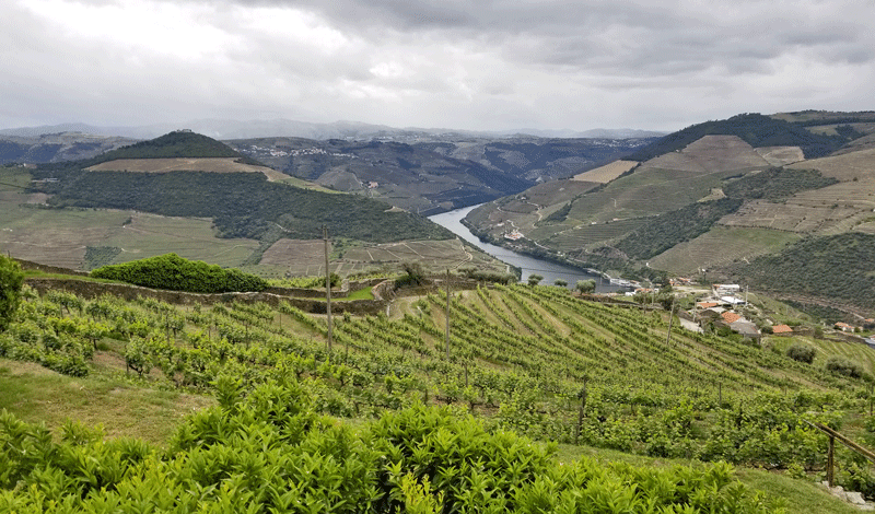 20190507_154543-edited