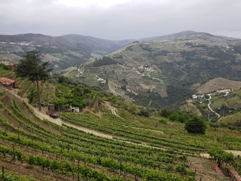 20190507_155912-edited