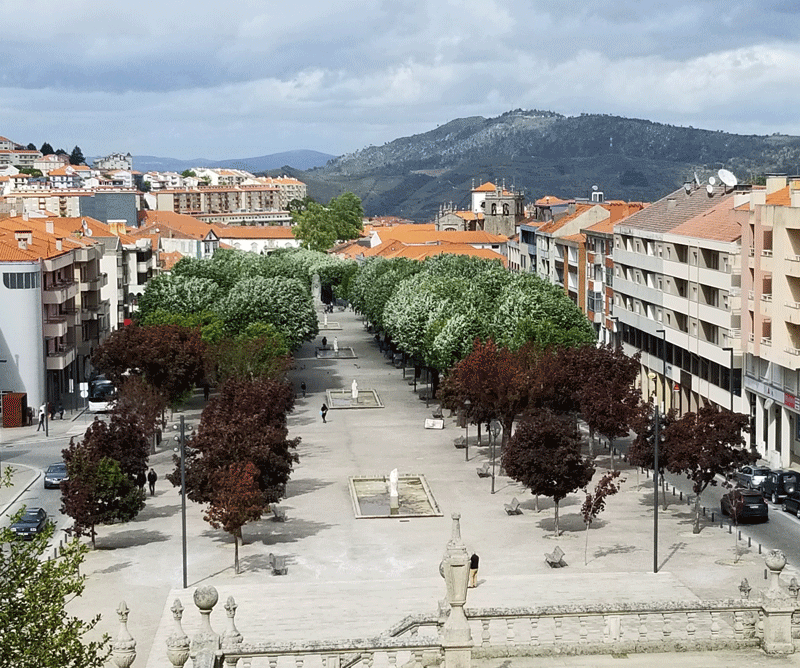 20190508_163953-edited