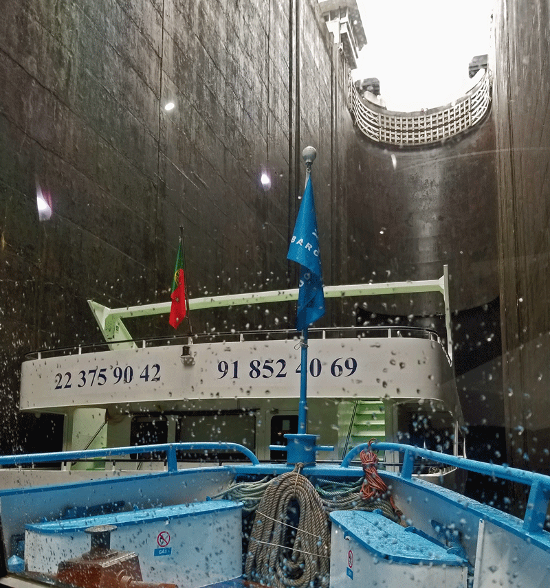 20190509_130442-edited