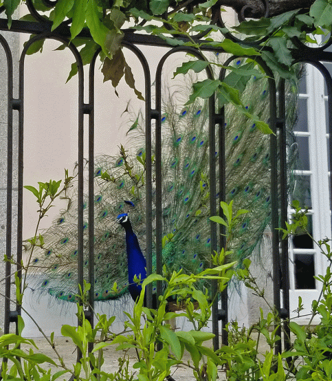 20190510_140955-edited