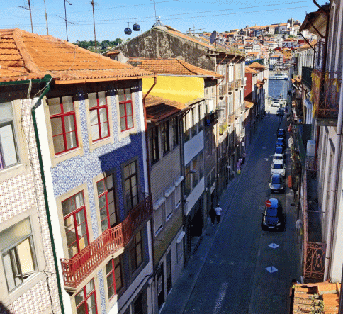 20190512_095136-edited